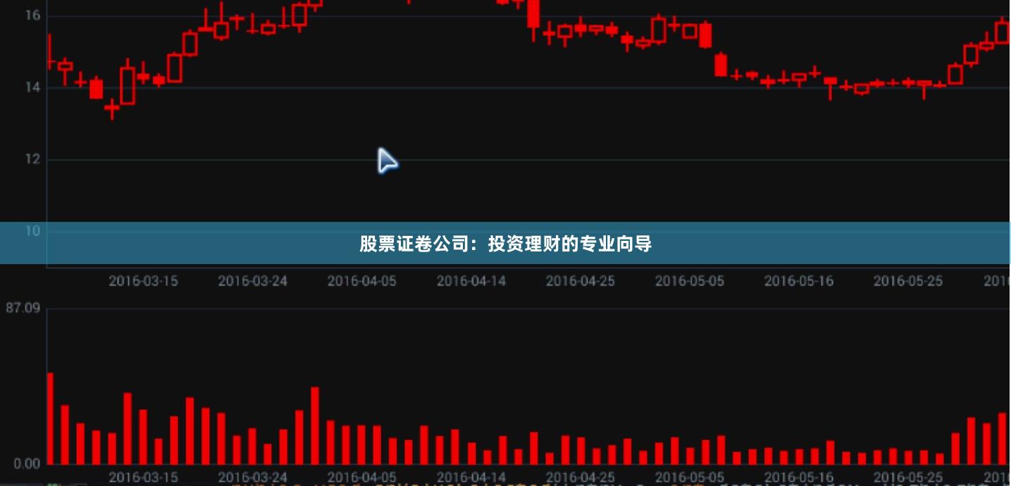 股票证卷公司：投资理财的专业向导