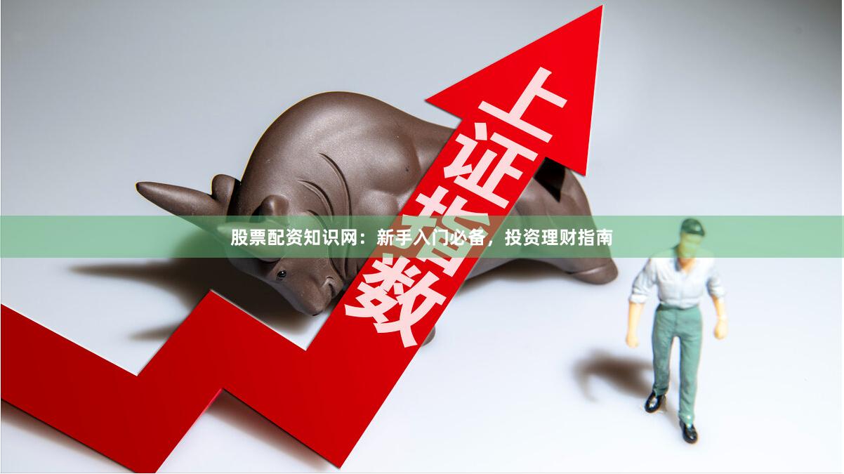 股票配资知识网：新手入门必备，投资理财指南