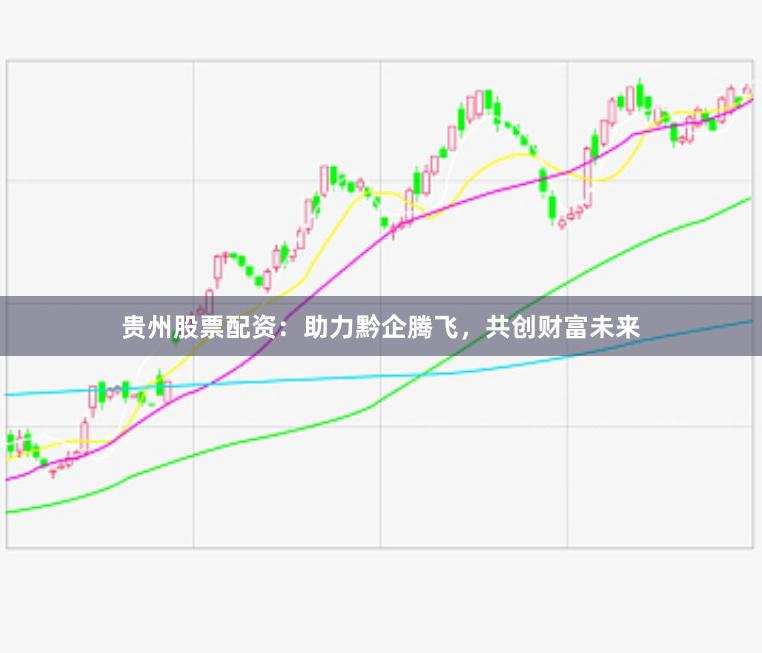 贵州股票配资：助力黔企腾飞，共创财富未来