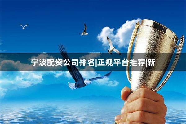 宁波配资公司排名|正规平台推荐|新